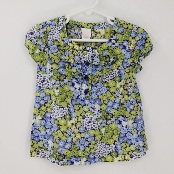 Janie and Jack Floral Print Ruffle Neckline Half Button Popover Blouse Top Sz 2T - Picture 1 of 7